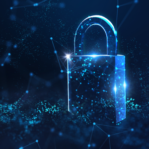 AI Privacy