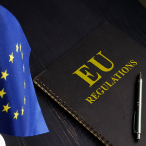 EU AI Regulation 