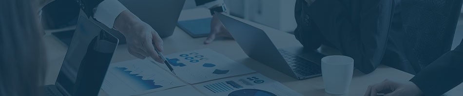 Information Risk Council