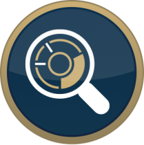 vision-icon-e1737040025151